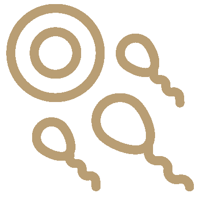 Integrative Fertility Support