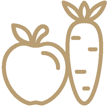 Burnout Recovery Program